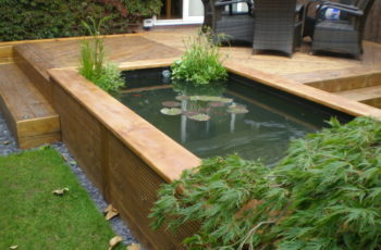 bassin de jardin sur une terrasse